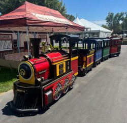 Trackless Train