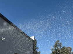 Snow20Machine20220 1761251777 Snow Machine